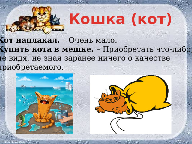 Фразеологизмы с котом