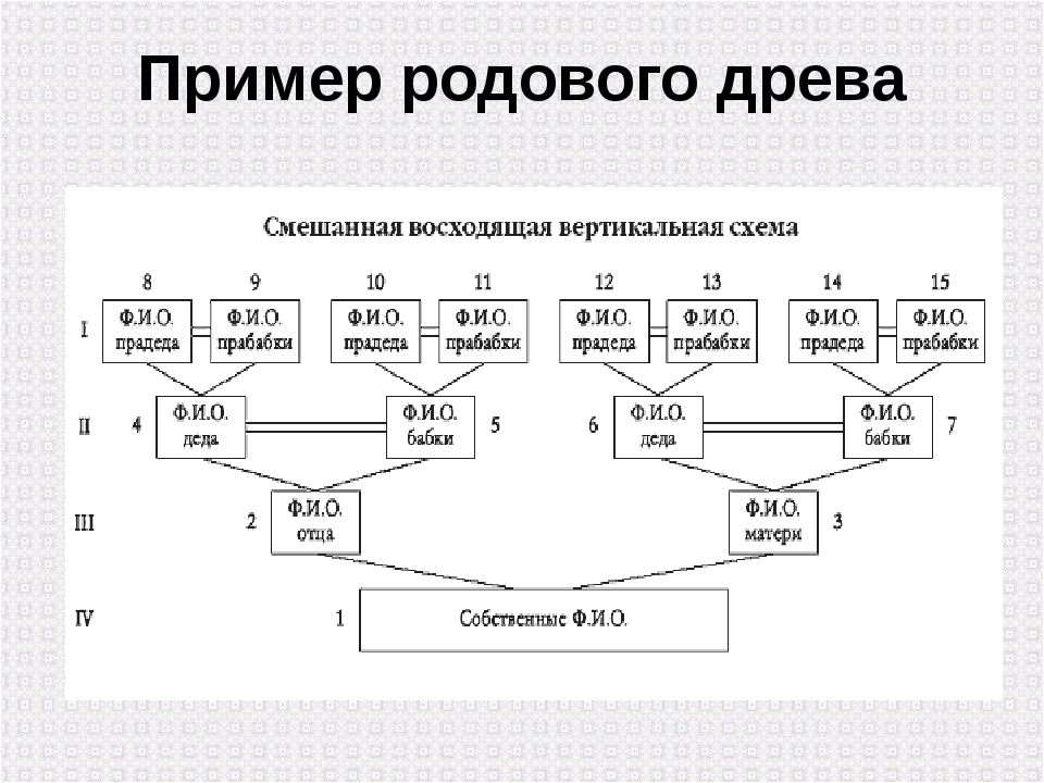 Как правильно составить родовое дерево семьи образец заполнения