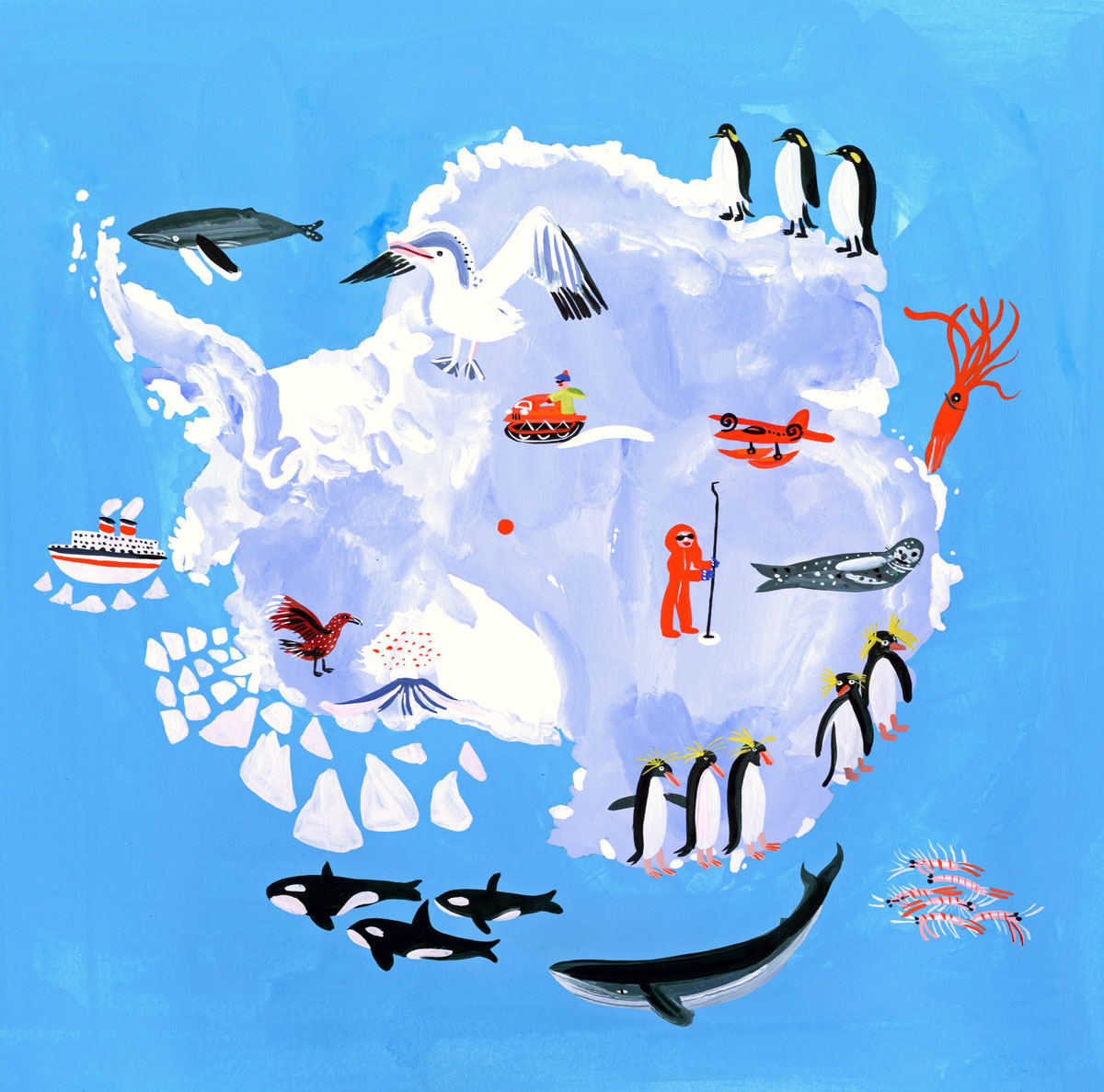 North travel. Арктика Антарктика Антарктида для детей. Карта Антарктиды для детей дошкольного возраста. Континент Антарктида для детей. Антарктида материк для детей.