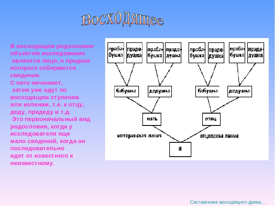 Как узнать свою родословную. Восходящее родословное Древо пример. Составление древа родословной. Как составить родословную. Восходящая схема родословного дерева.