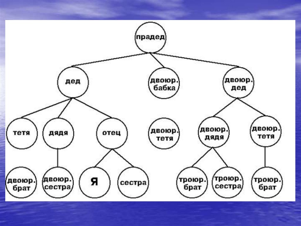 Древо схема. Как составить родословная семьи схема. Схема родственных связей дерево. Как составить схему родословной семьи. Схема дерева родословной семьи.