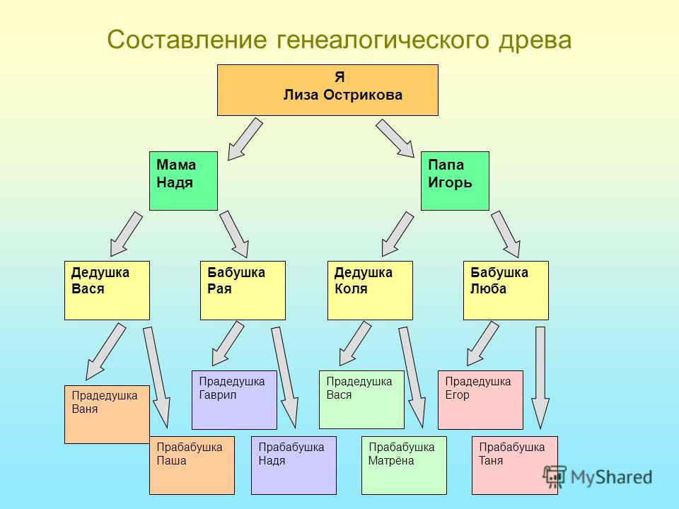 Как правильно составить семейное древо схема