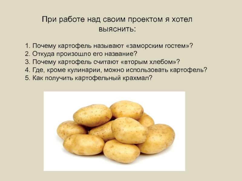 Подбери к слову картофель. Картошка для презентации. Картофель презентация. Презентация на тему картофель. Сообщение о картофеле.