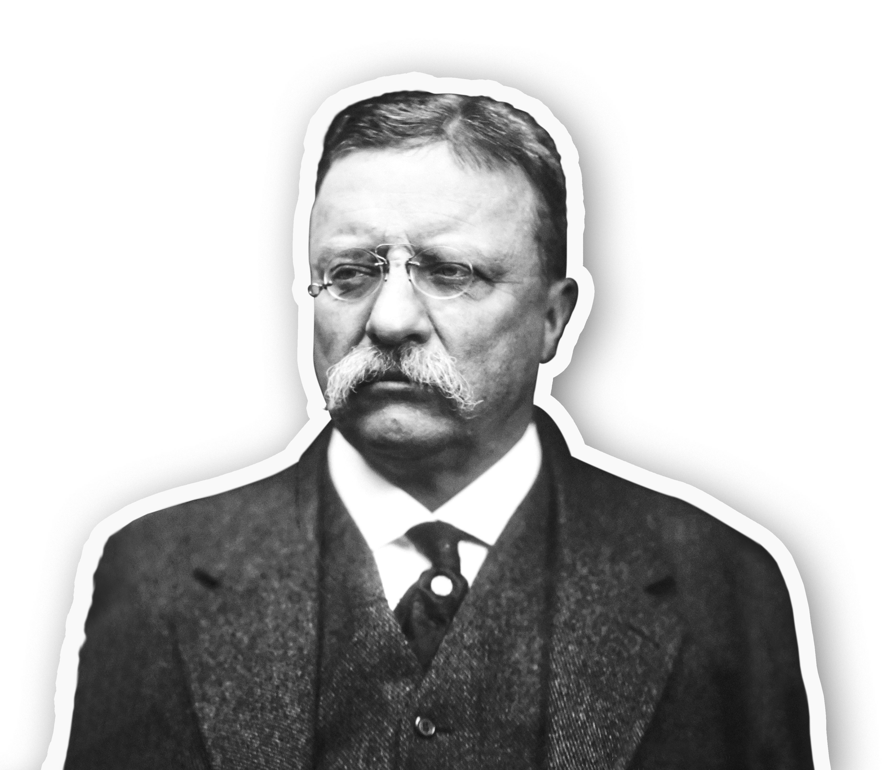 Теодор рузвельт: «лидер ведет за собой, а босс управляет»