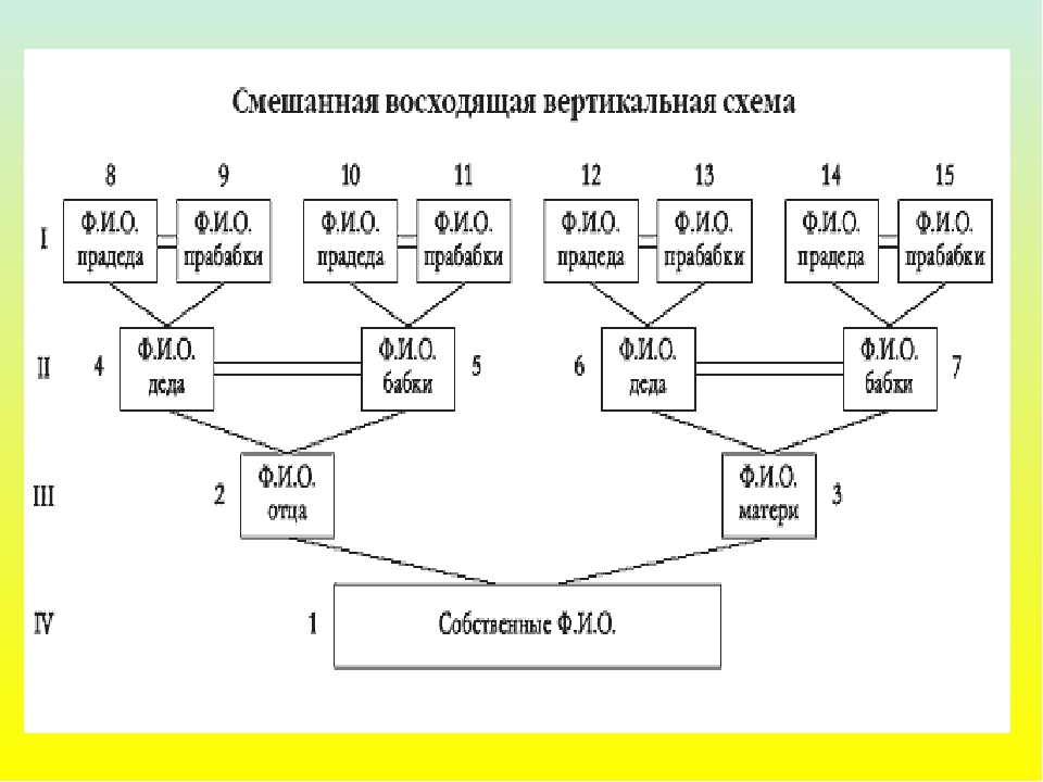 Родословная схема онлайн