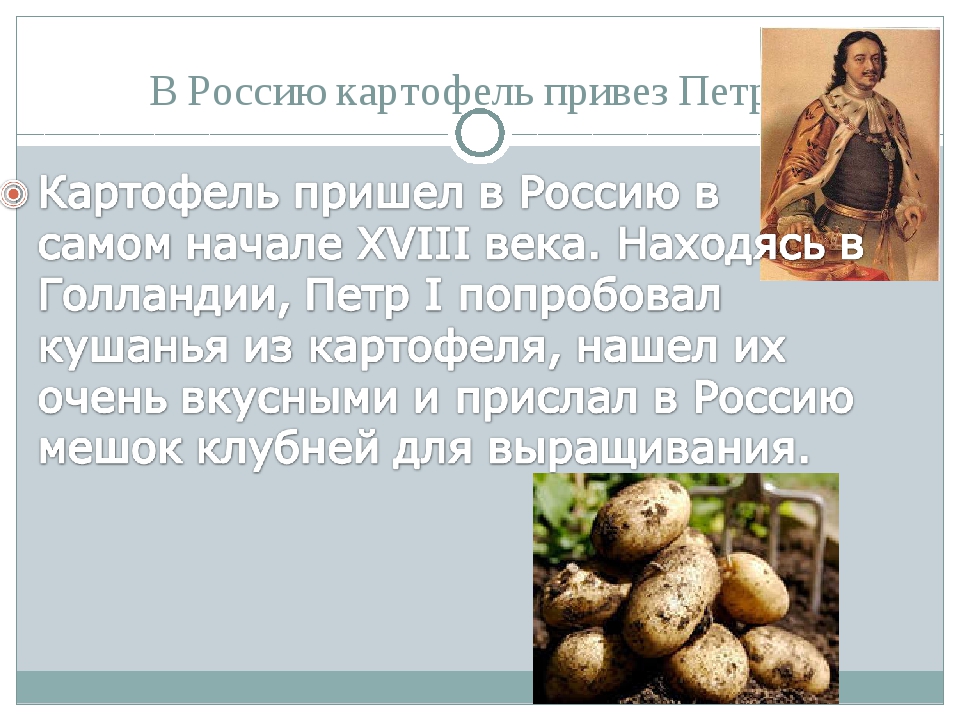 Откуда картошка в россии