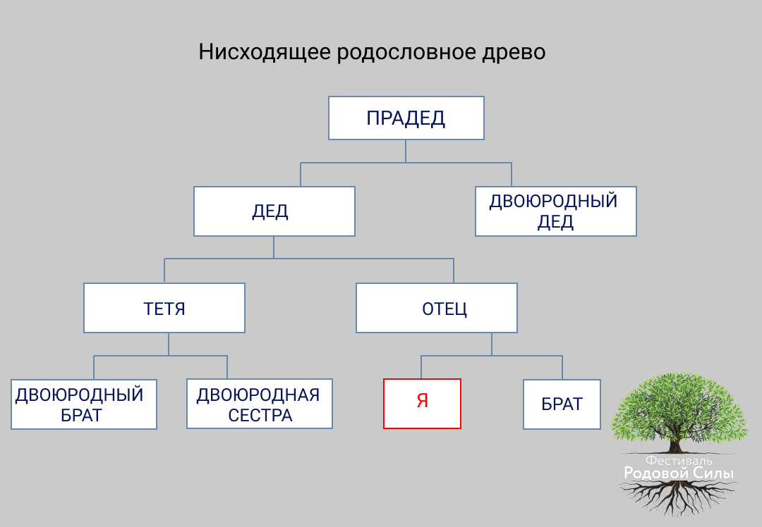 Как составить древо жизни моей семьи простая схема