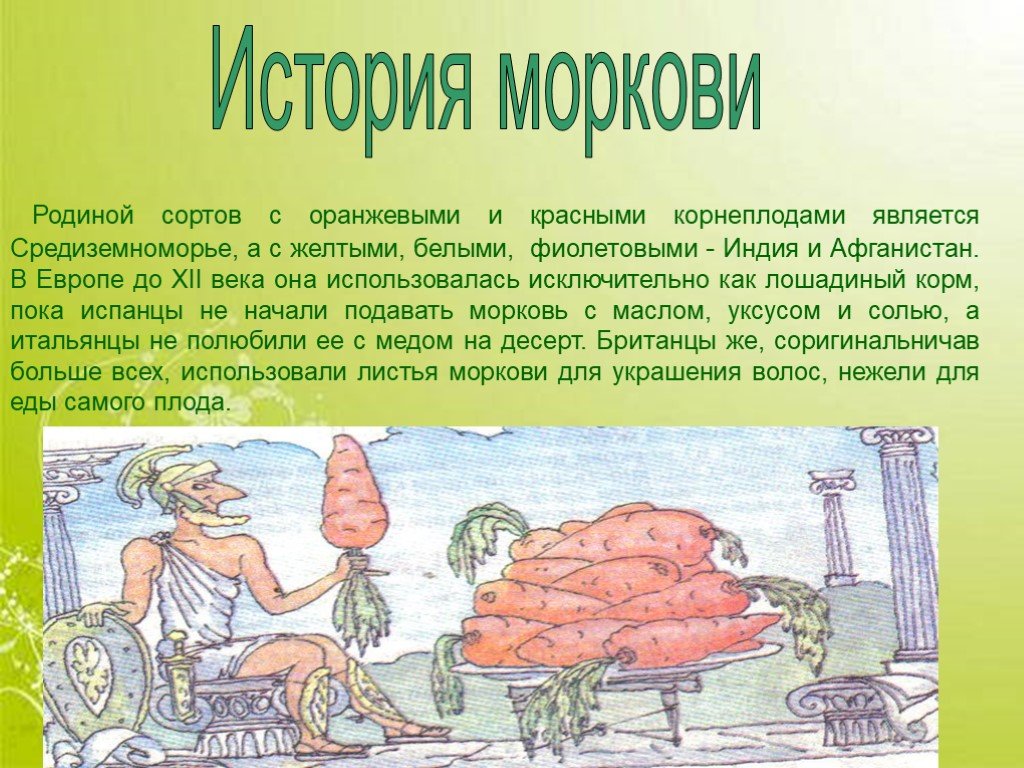 Рассказ об овощной культуре морковь