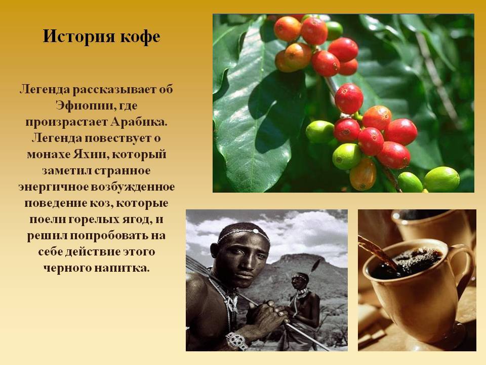 Кто придумал кофе: в какой стране и когда появилось, история происхождения