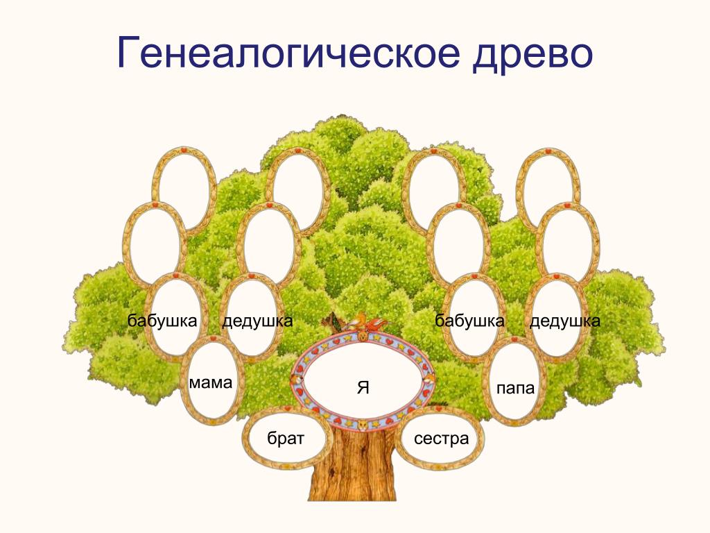 Проект мое генеалогическое древо