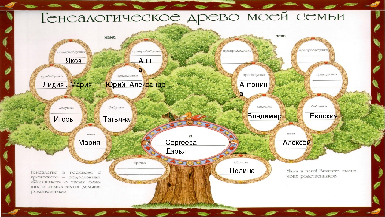 Родословная 3. Генеалогическое дерево моей семьи. Составление древа семьи. Составление древа родословной. Составление родословного древа семьи.